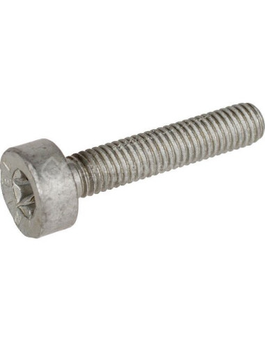 Tornillo cilíndrico IS-M 5x25 mm STIHL
