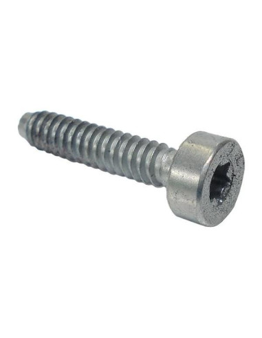 Tornillo cilíndrico IS-D5 x 24mm STIHL