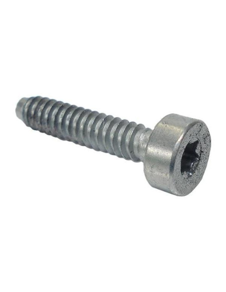 Tornillo cilíndrico IS-D5 x 24mm STIHL