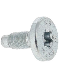 Tornillo M5X12 STIHL