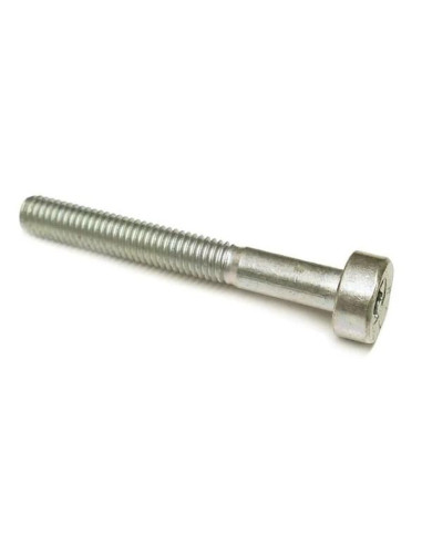 Tornillo cilíndrico IS M5x40x25 mm STIHL