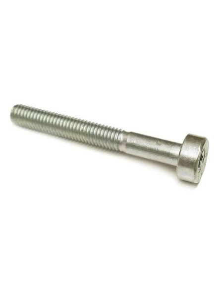 Tornillo cilíndrico IS M5x40x25 mm STIHL