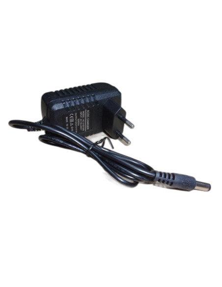 Cargador de bateria VG Forest TBE-35 | MBE-4
