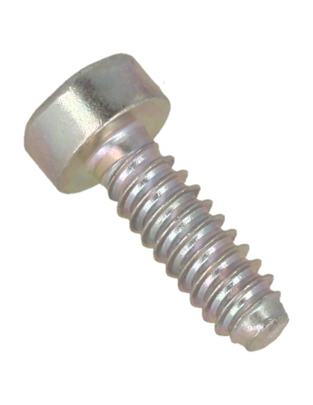 Tornillo Cilíndrico IS-D5X16 STIHL