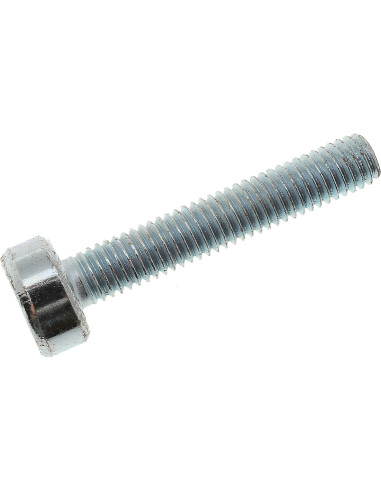 Tornillo cilíndrico IS-M5X28 STIHL