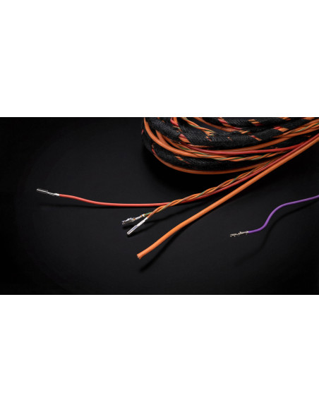 Kit Eléctrico Aragon Nexus