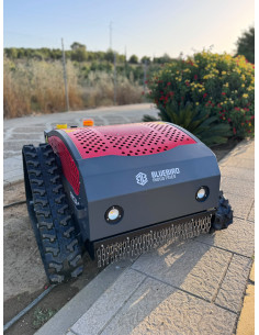 Desbrozadora control remoto FM 24-65 2