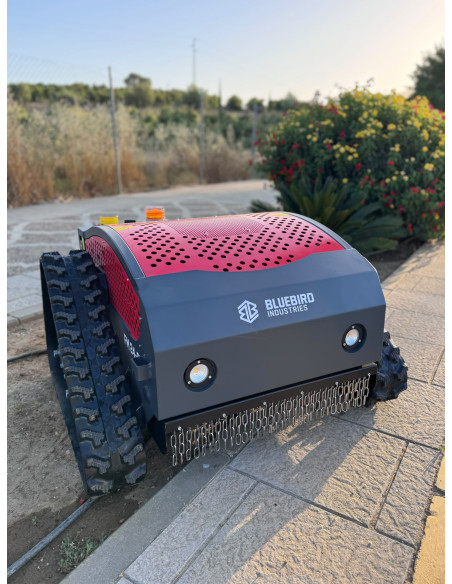 Desbrozadora control remoto FM 24-65
