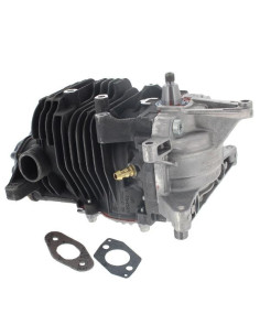 Motor aligerado Soplador STIHL 2