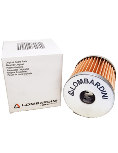 Cartucho filtro gasoil motor Lombardini 6LD Y LDA 2