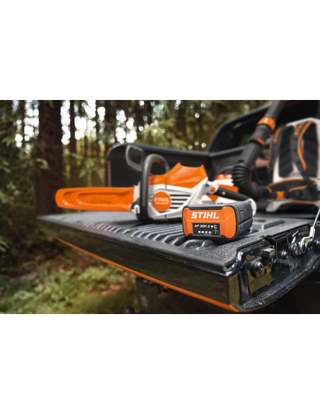 Batería AP 300 S, AP-SYSTEM STIHL