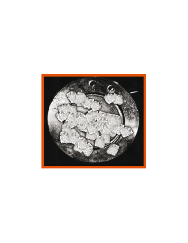 Anticristalizante AdBlue Urea Crystal Cleaner