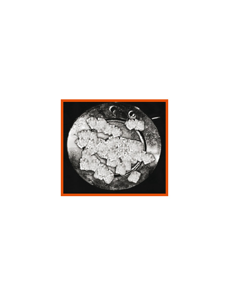 Anticristalizante AdBlue Urea Crystal Cleaner