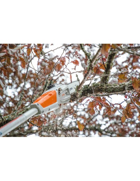 Podadora de Altura HTA 50 25cm 1/4"PM3 STIHL