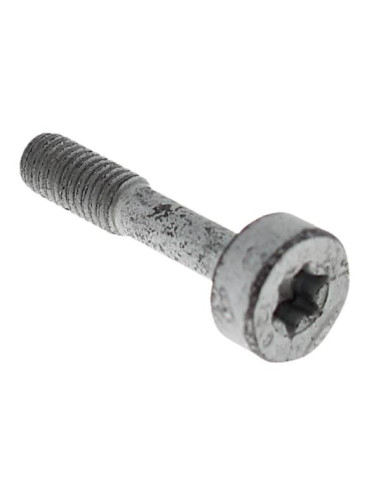 Tornillo cilíndrico IS-M5x23 mm STIHL
