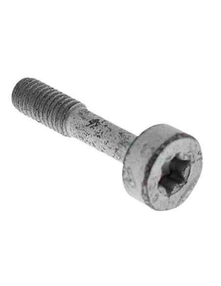 Tornillo cilíndrico IS-M5x23 mm STIHL