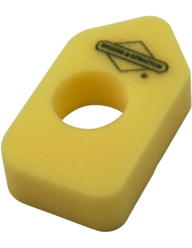 Filtro de aire motor Briggs & Stratton 698369...