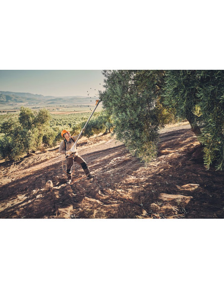 Vareador STIHL SPA 130