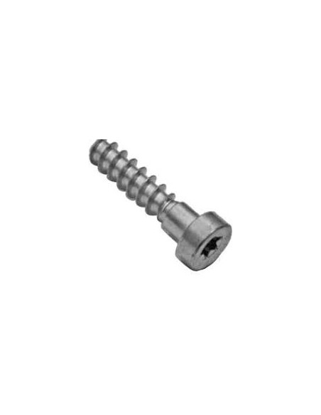 Tornillo IS-P6x26,5 STIHL
