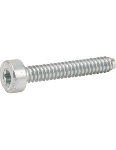 Tornillo cilíndrico IS-D5 X 32 mm STIHL