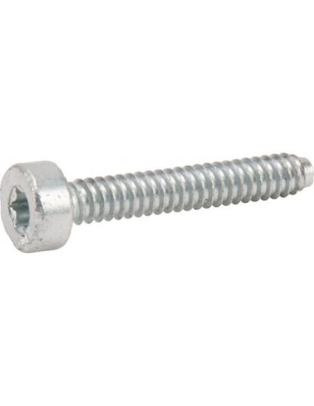 Tornillo cilíndrico IS-D5 X 32 mm STIHL