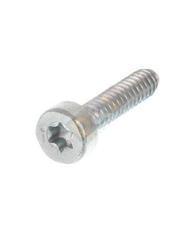 Tornillo cilíndrico IS-D5 x 24mm STIHL
