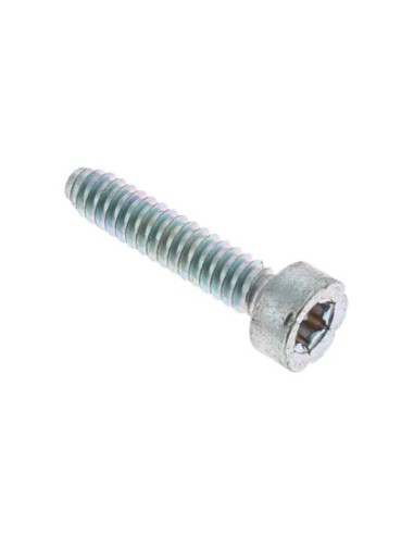 Tornillo cilíndrico IS D 5x24mm STIHL