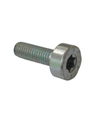 Tornillo cilindrico IS M5x16mm STIHL
