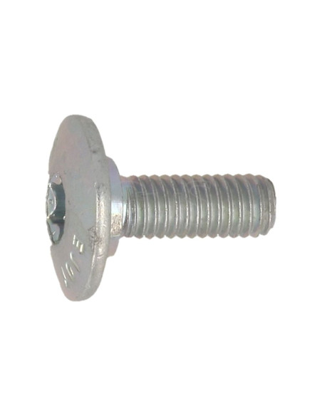 Tornillo IS-M5X12 STIHL