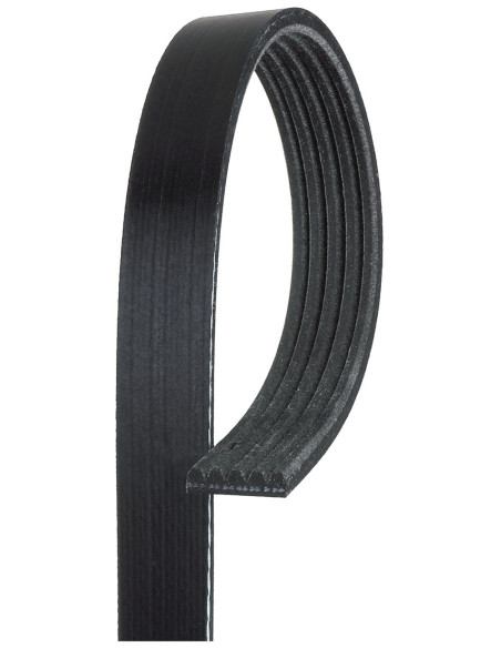 Correa trapezoidal 6PK1700