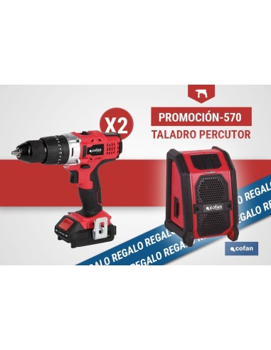 Pack de 2 taladros percutores a batería +...