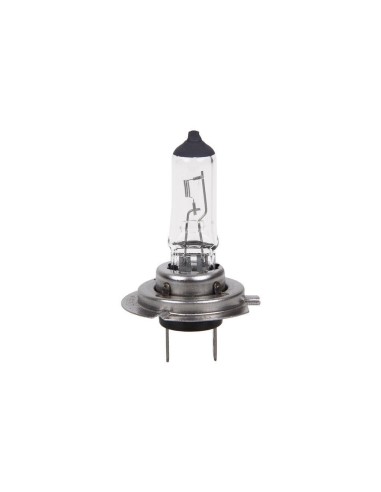 Lampara Halogena H7 12V55W