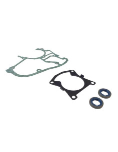 Juego de juntas y retenes de motor motosierra STIHL