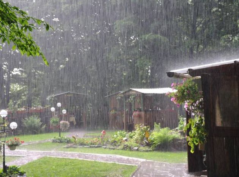 tips-jardin-lluvia-epoca_lluviosa-cuidados_PERIMA20140617_0004_5
